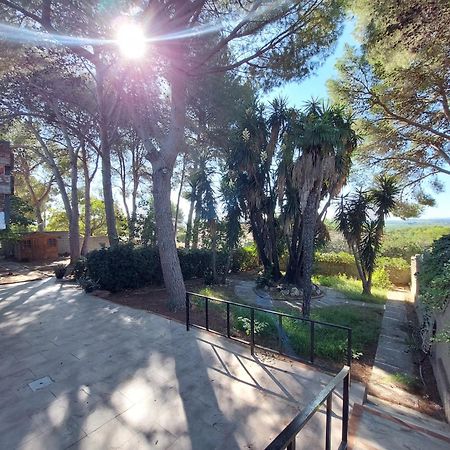 Chalet Rustico Con Piscina Y Barbacoa, Valencia Торренте Экстерьер фото